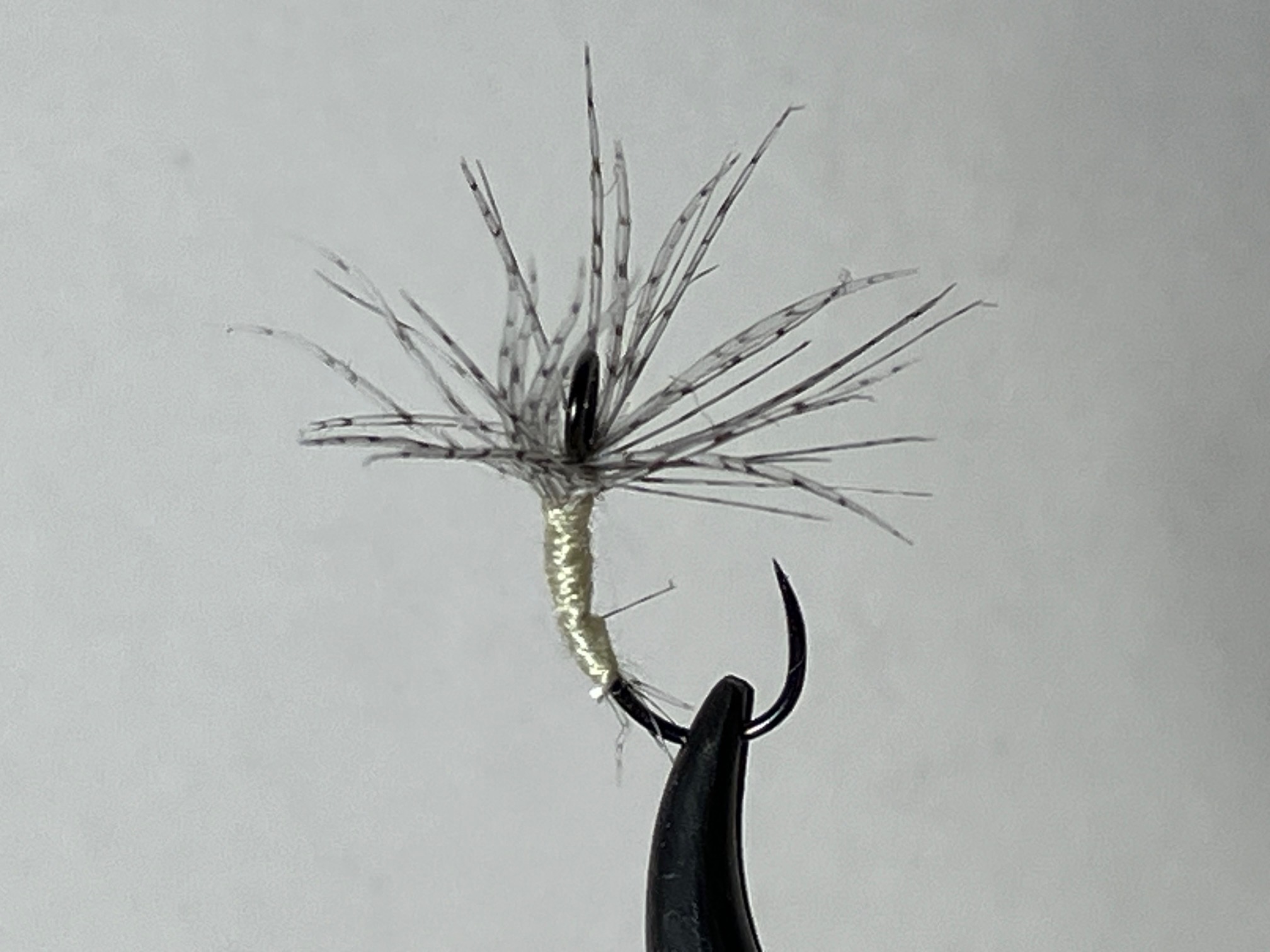 yellow-thread-partridge