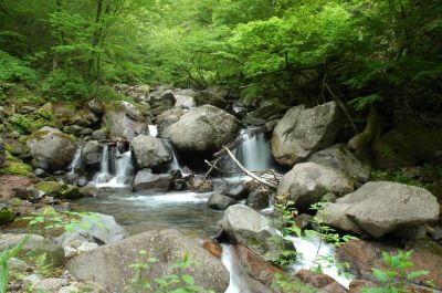 Slide: Photo of a plunge pool in a mountain stream