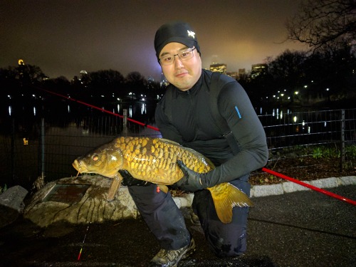 Angler holding carp caught at night