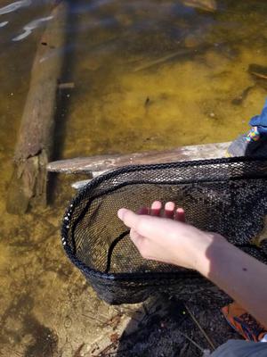 He flopped away (right corner)