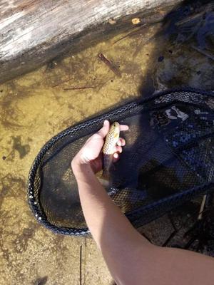 Finally stayed still