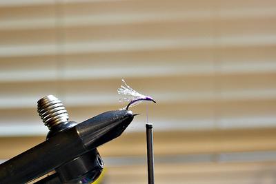 Beginning of a Reaper Midge