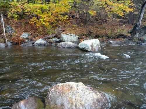 Small bank eddy in rocky stream