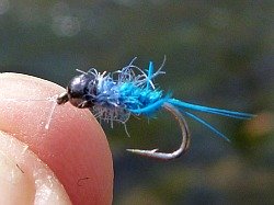 Bead head nymph tied with blue feathers