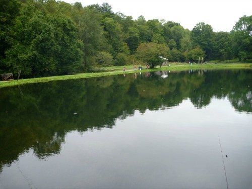 Small lake with manicured grass banks, anglers on the far side.