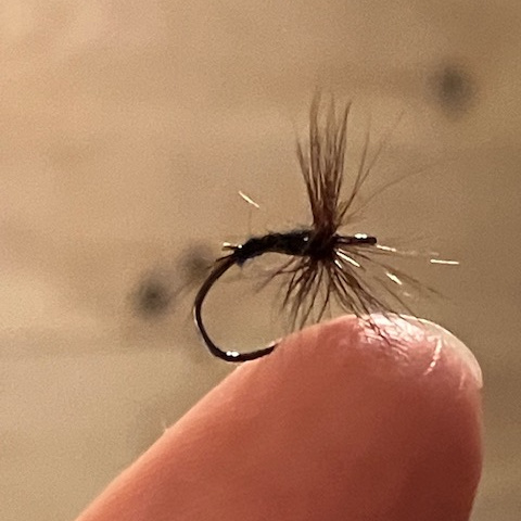 black-brown