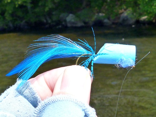 Angler holding blue foam popper with blue tail feathers