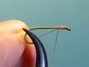 Starting to wrap copper wire around hook shank