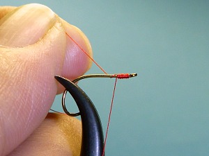 Holding end of thread while starting to wind thread around the hook shank.