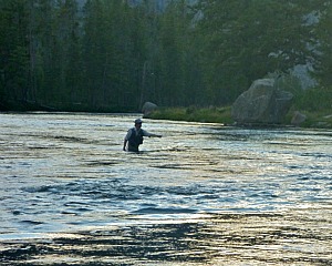 Angler standing in the Madison River