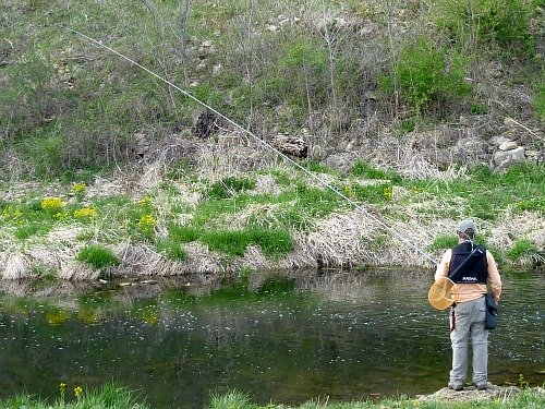 Angler fishing a 7m rod in a small stream