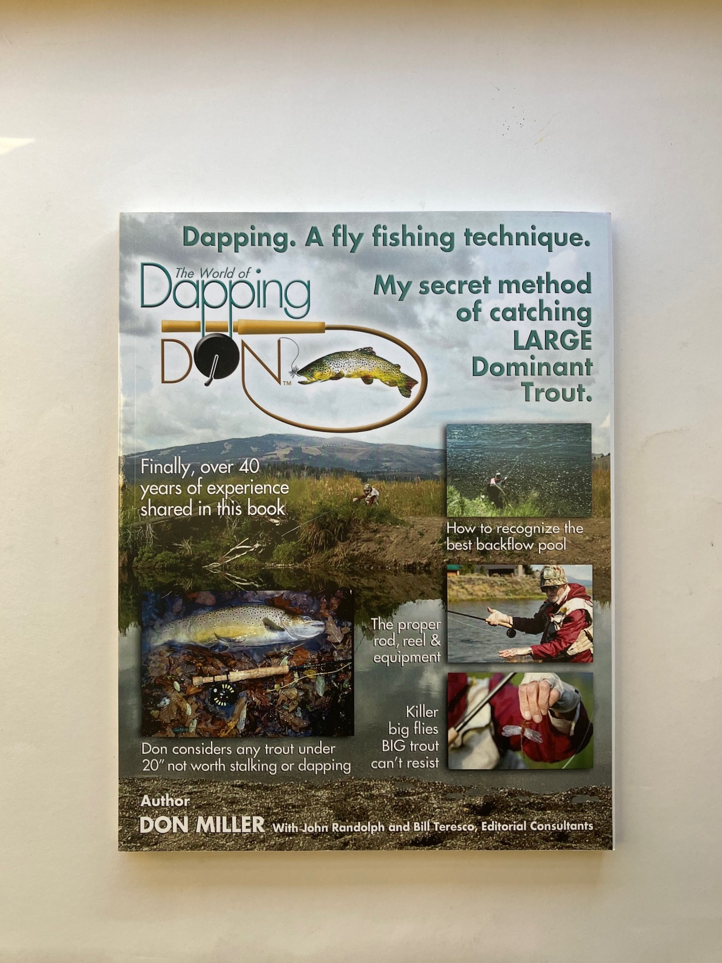 Dapping. A fly fishing technique.