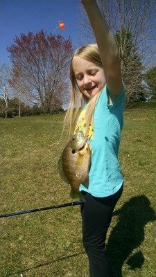 Young girl showing off the sunfish she caught.