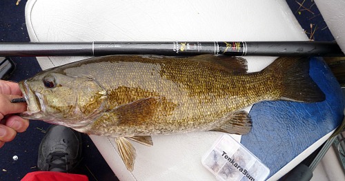 Field Master 53 and smallmouth bass on boat seat.