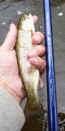 Small trout caught with FM Suguru Long