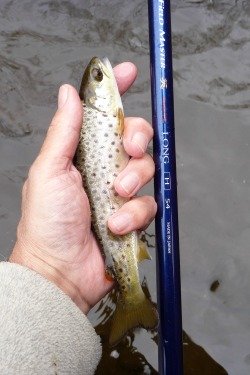 Small trout caught with FM Suguru Long