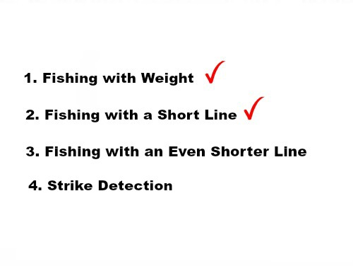 Slide: 1. Fishing with Weight. Checkmark.
2. Fishing with Short Line. Checkmark>
3. Fishing with an Even Shorter Line.
4. Strike Detection