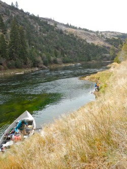 Drift boat in a large bank eddy