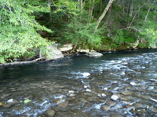 Beaverkill River