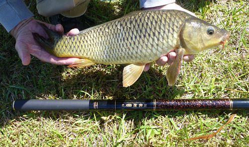 Nissin Flying Dragon carp rod.