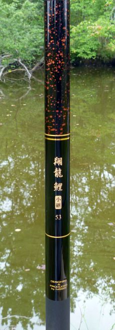 Nissin Flying Dragon rod with pond in background