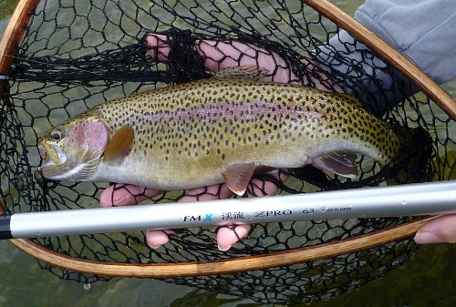 Angler holding FMX Keiryu ZPRO rod and net with nice rainbow trout