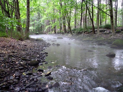 Small stream through the woods.