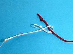 Lillian inserted through the loop formed by folding the loop back on itself.