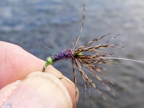 Angler holding Gravedigger fly, tied without a vise