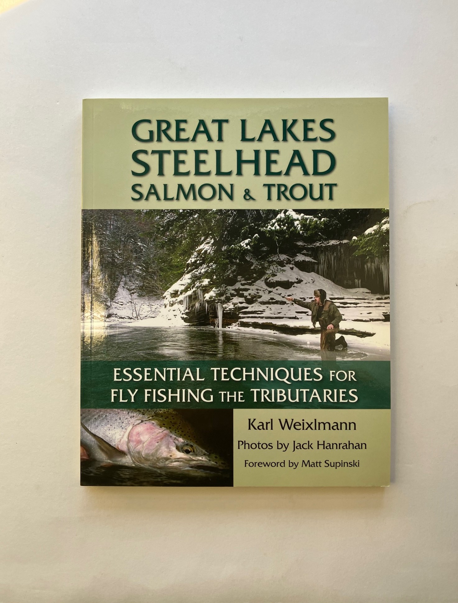 Great Lakes Steelhead Salmon and Trout