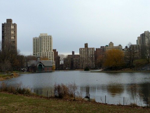 Harlem Meer at the northern end of Central Park