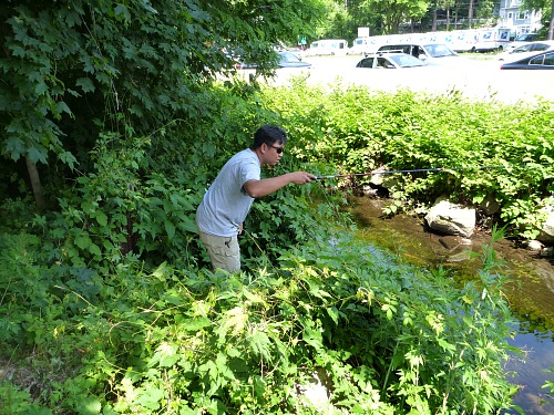 Angler fishing very tiny stream, showing intense concentration.