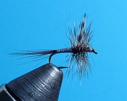 Adams dry fly in vise