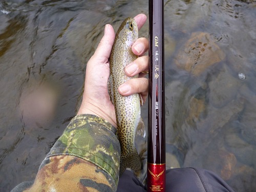 Angler holding a fish that was caught in the bank eddy, and the rod he used.