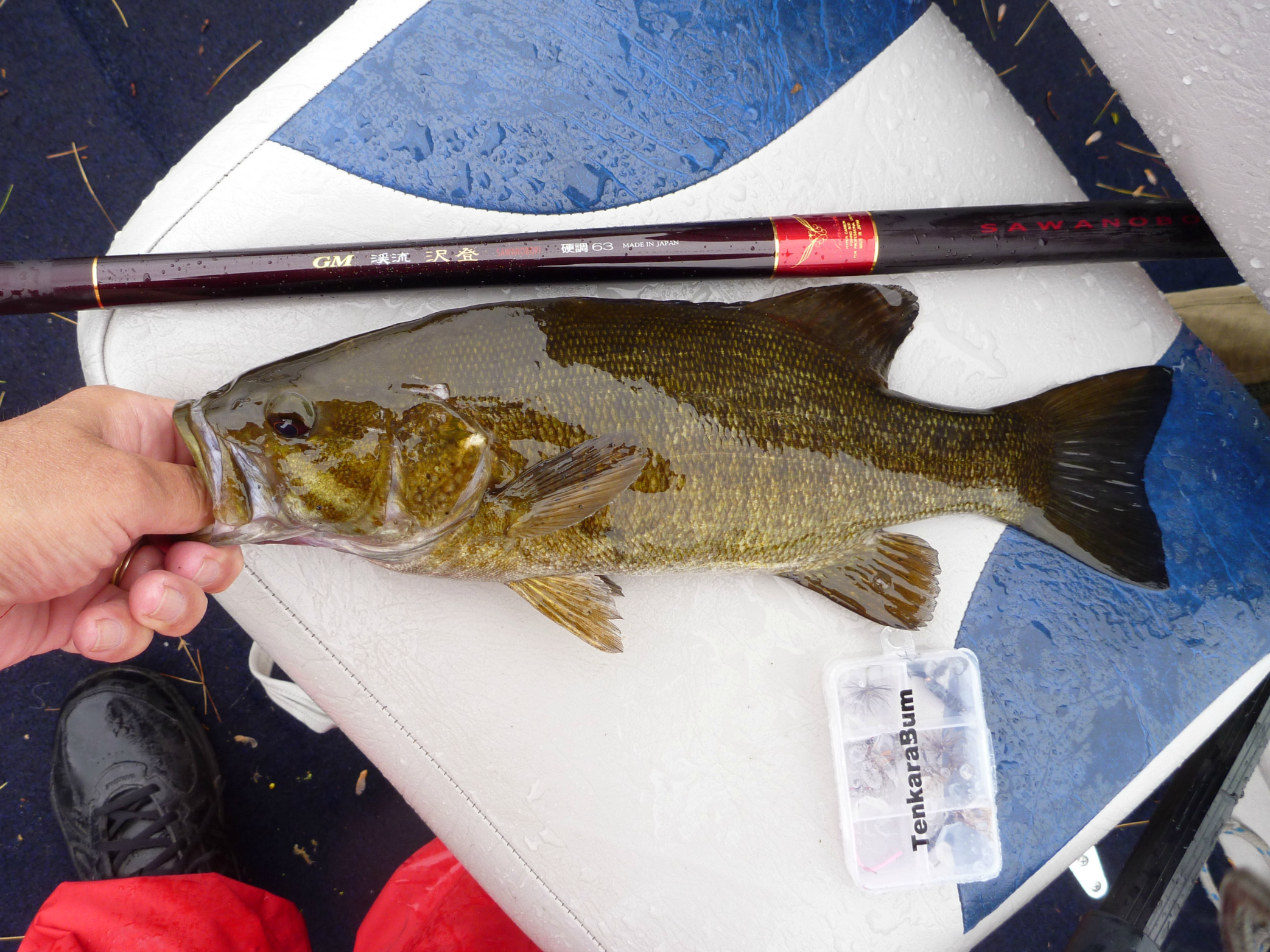 Suntech Keiryu Sawanobori, smallmouth bass