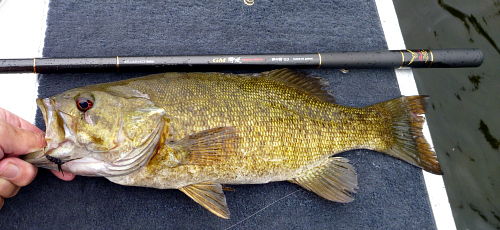 17+ inch smallie and Suntech GM Keiryu Special 53.