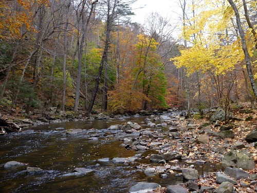 Medium sized stream, wide enough for 5.3m rod.