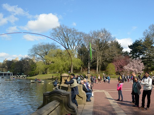 Angler fighting carp in Central Park