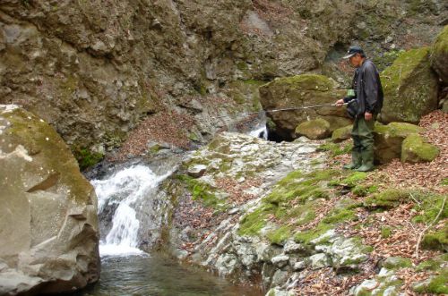 Slide: Repeat of slide showing Japanese angler fishing a small pool at the base of a waterfall.