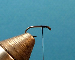 Hook in vise, thread started just behind the eye