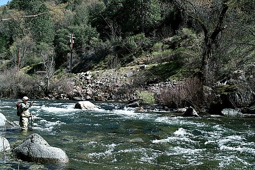 Angler fishing a long line downstream