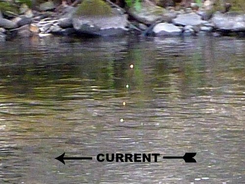 Photo of a line with four knots of hi-vis yarn tied a few inches apart.