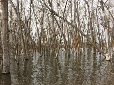 10 minutes from the house