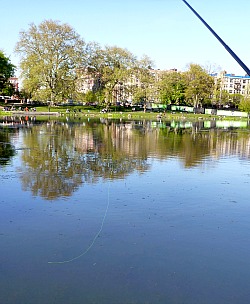 Tenkara Midi with pond in background