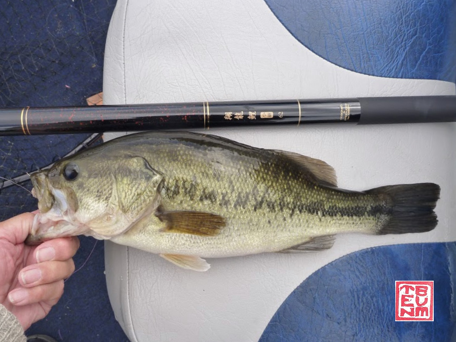 Flying Dragon carp rod and largemouth bass on boat seat