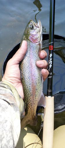 Angler holding rainbow trout and Oni Honryu 450