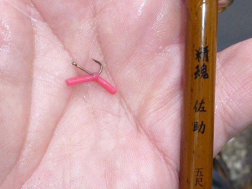 Angler holding very small Overhand Worm tied with squirmie wormie material
