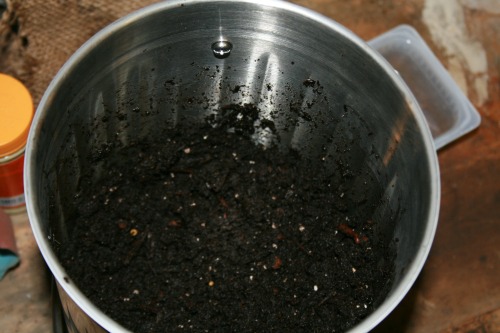 Pail with bedding put in over the cardboard squares