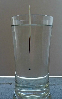 Glass of water, with porcupine quill suspending one #10 shot