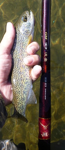 Suntech Keiryu Sawanobori 63 and rainbow trout